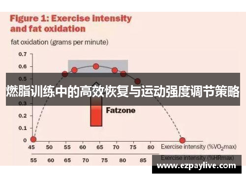 燃脂训练中的高效恢复与运动强度调节策略